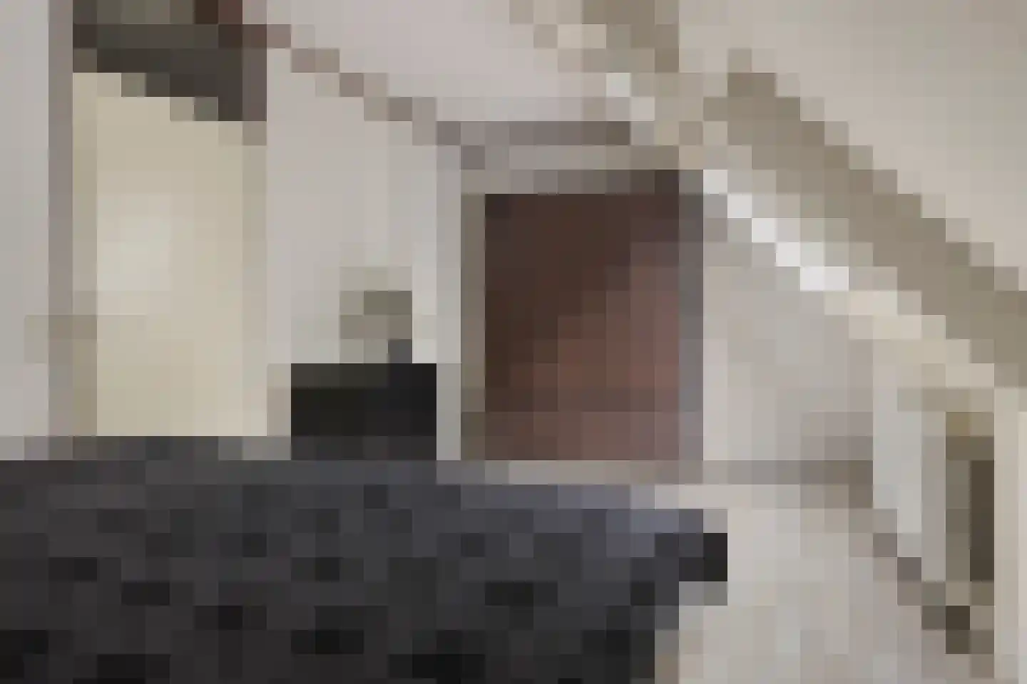 Mudaheerd 44 Groningen thumbnail 28