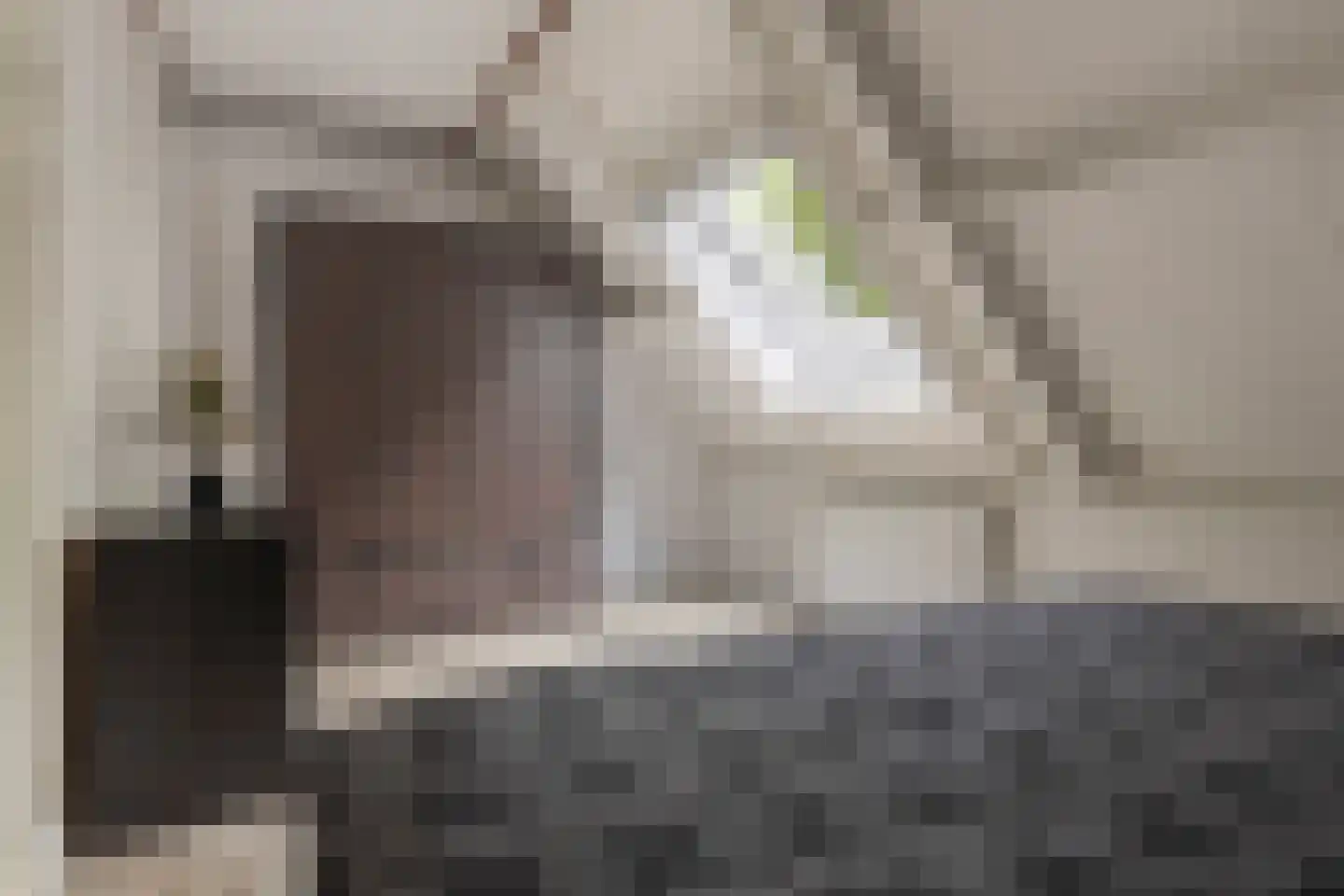 Mudaheerd 44 Groningen thumbnail 29