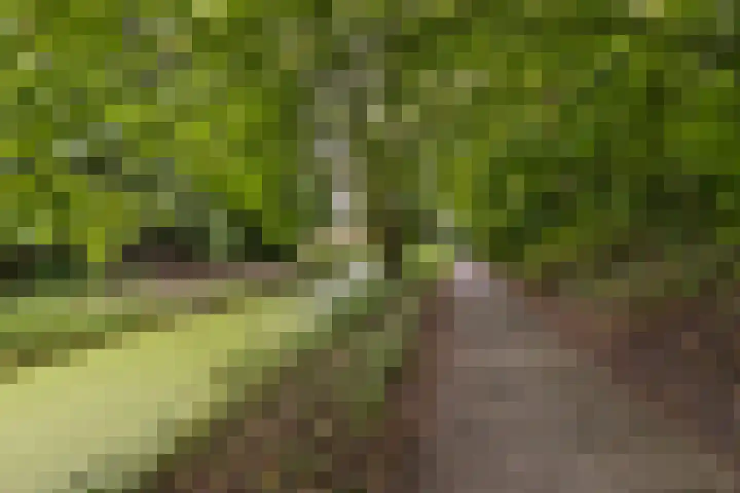 Mudaheerd 44 Groningen thumbnail 38