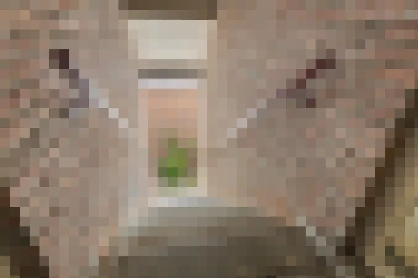 Mudaheerd 44 Groningen thumbnail 9