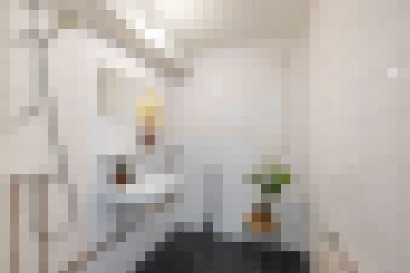 Mudaheerd 46 Groningen thumbnail 10