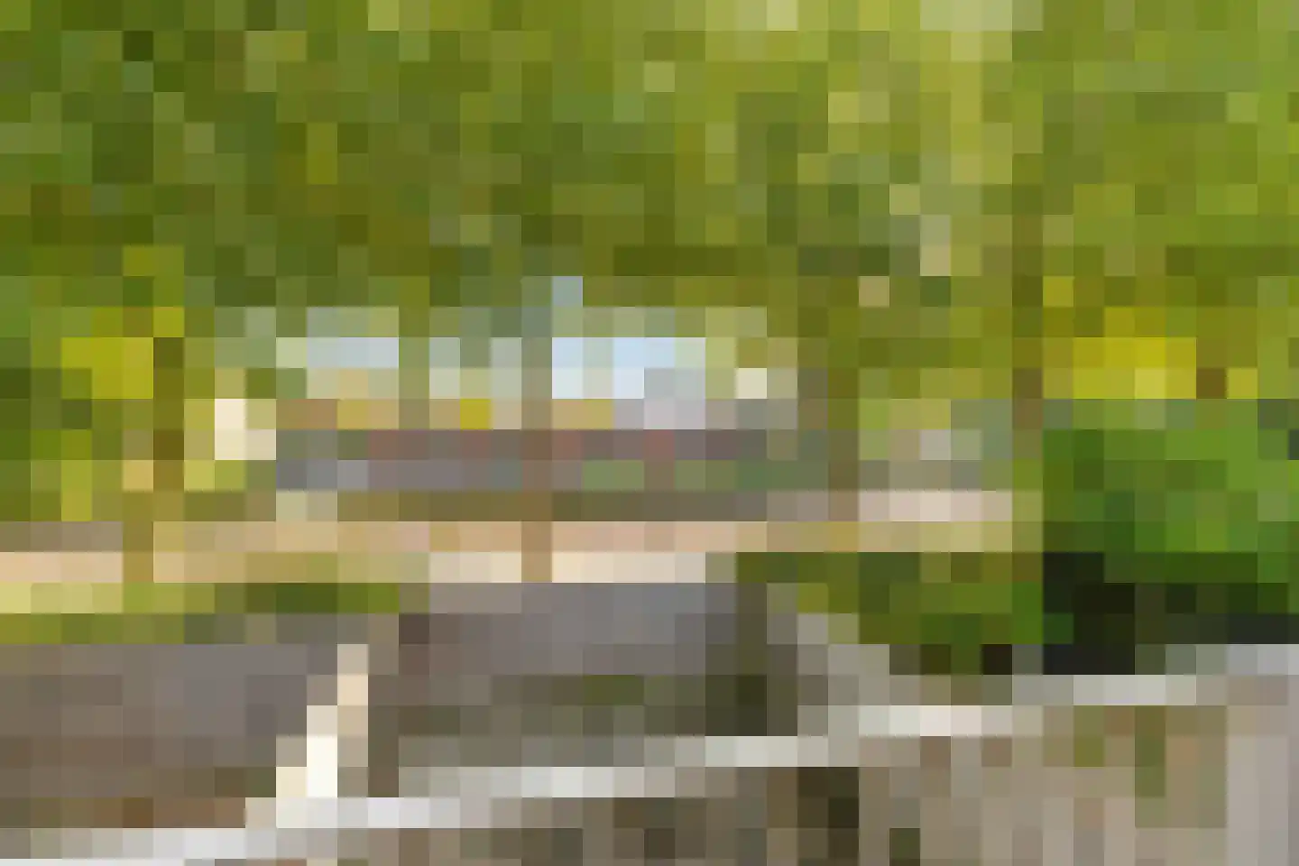 Mudaheerd 46 Groningen thumbnail 15