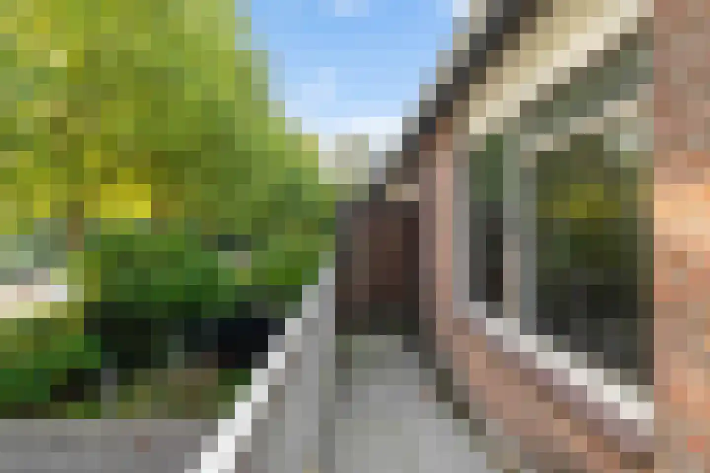 Mudaheerd 46 Groningen thumbnail 16