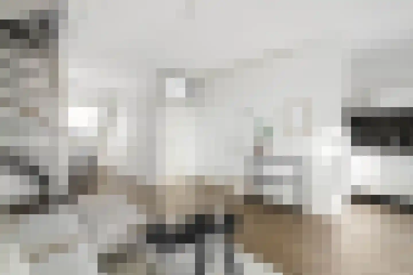 Mudaheerd 46 Groningen thumbnail 21
