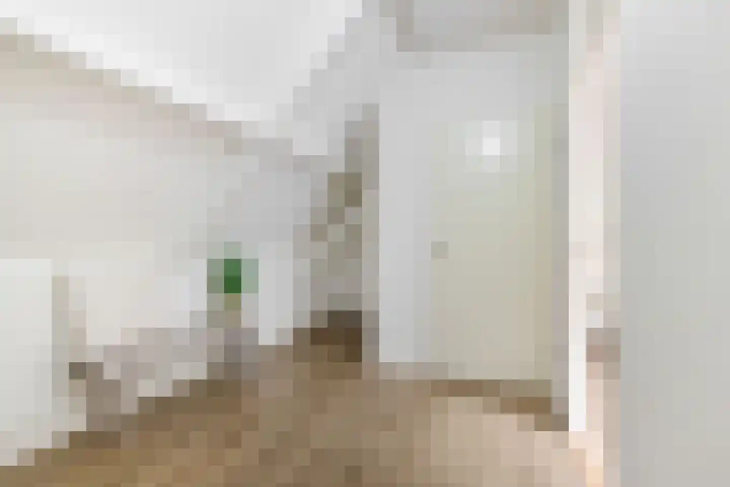 Mudaheerd 46 Groningen thumbnail 23