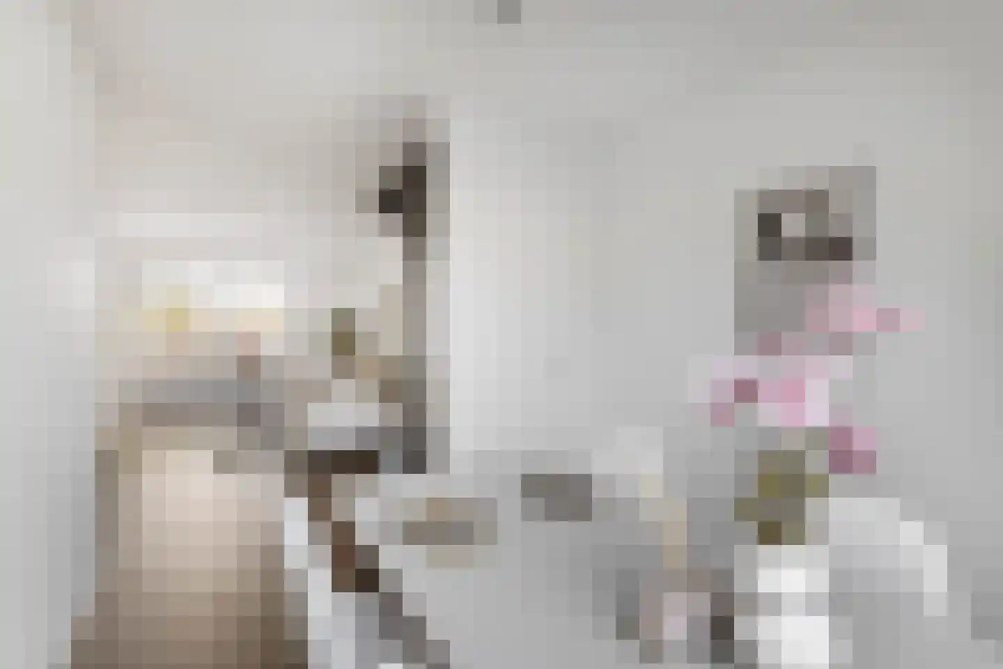 Mudaheerd 46 Groningen thumbnail 4