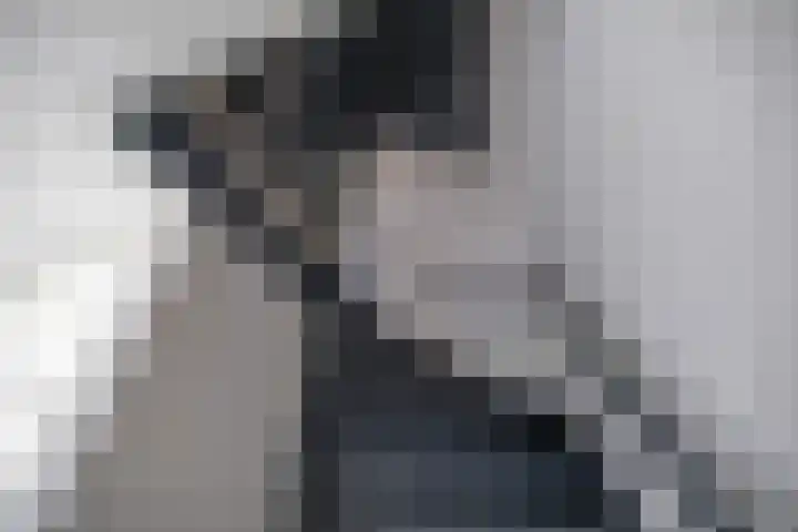 Mudaheerd 68 Groningen thumbnail 22