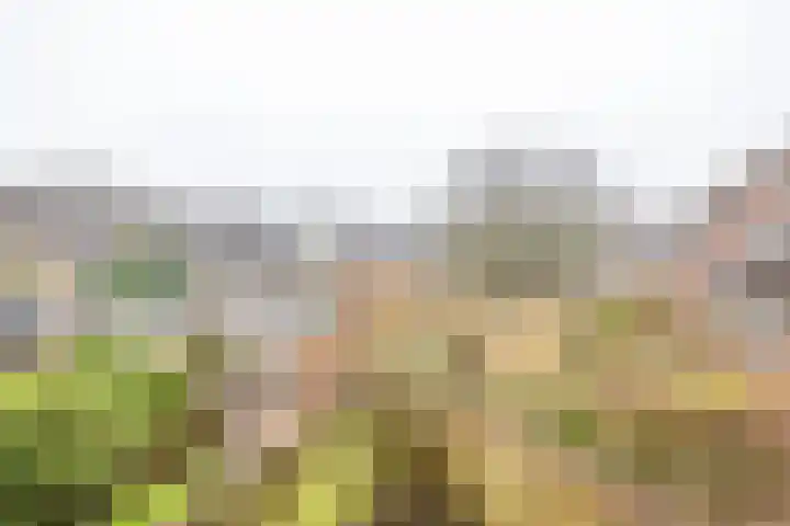 Mudaheerd 68 Groningen thumbnail 27