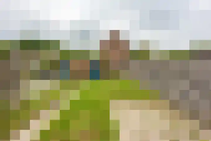 Mudaheerd 75 Groningen thumbnail 16