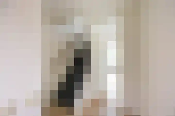 Mudaheerd 75 Groningen thumbnail 7
