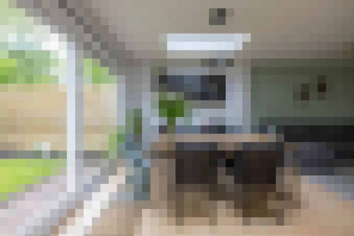 Mudaheerd 98 Groningen thumbnail 12