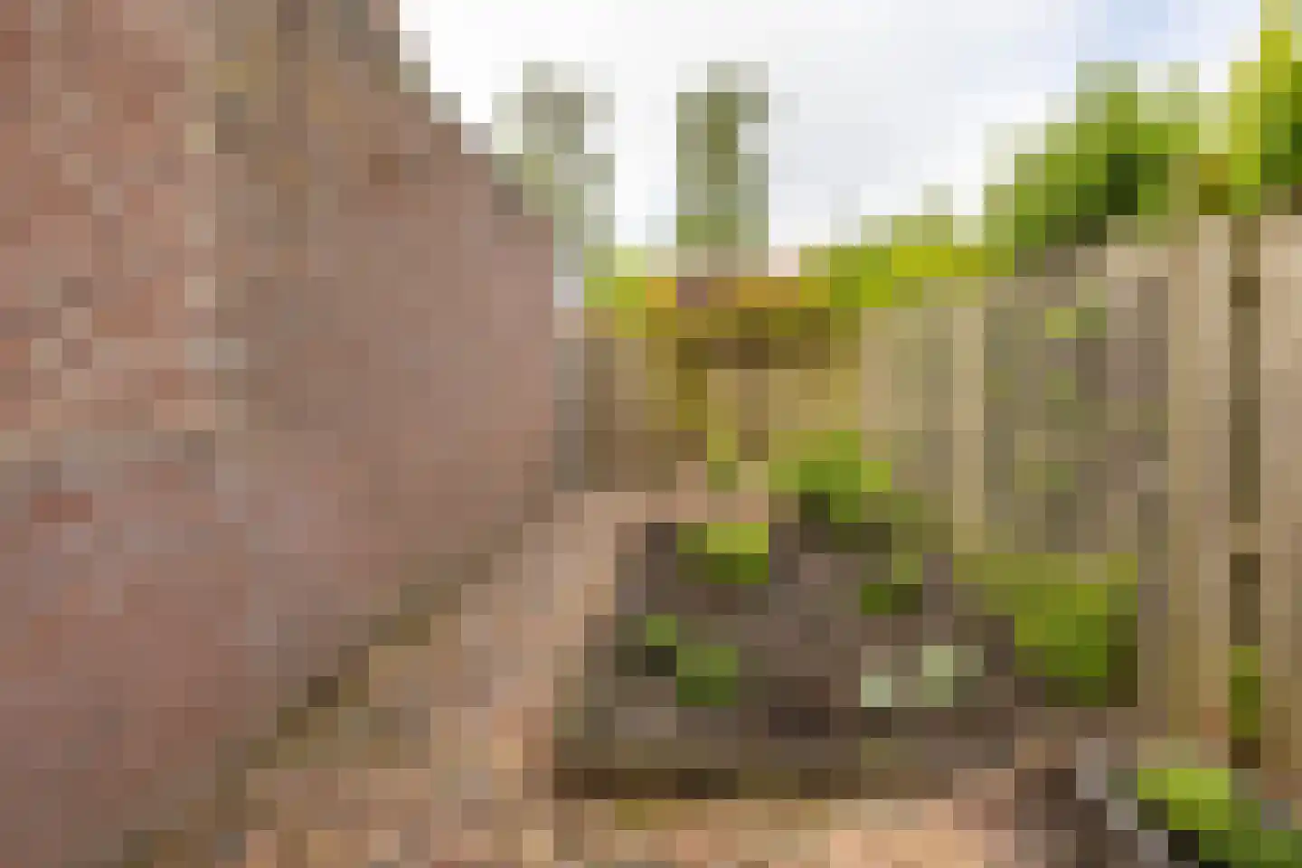 Mudaheerd 98 Groningen thumbnail 24
