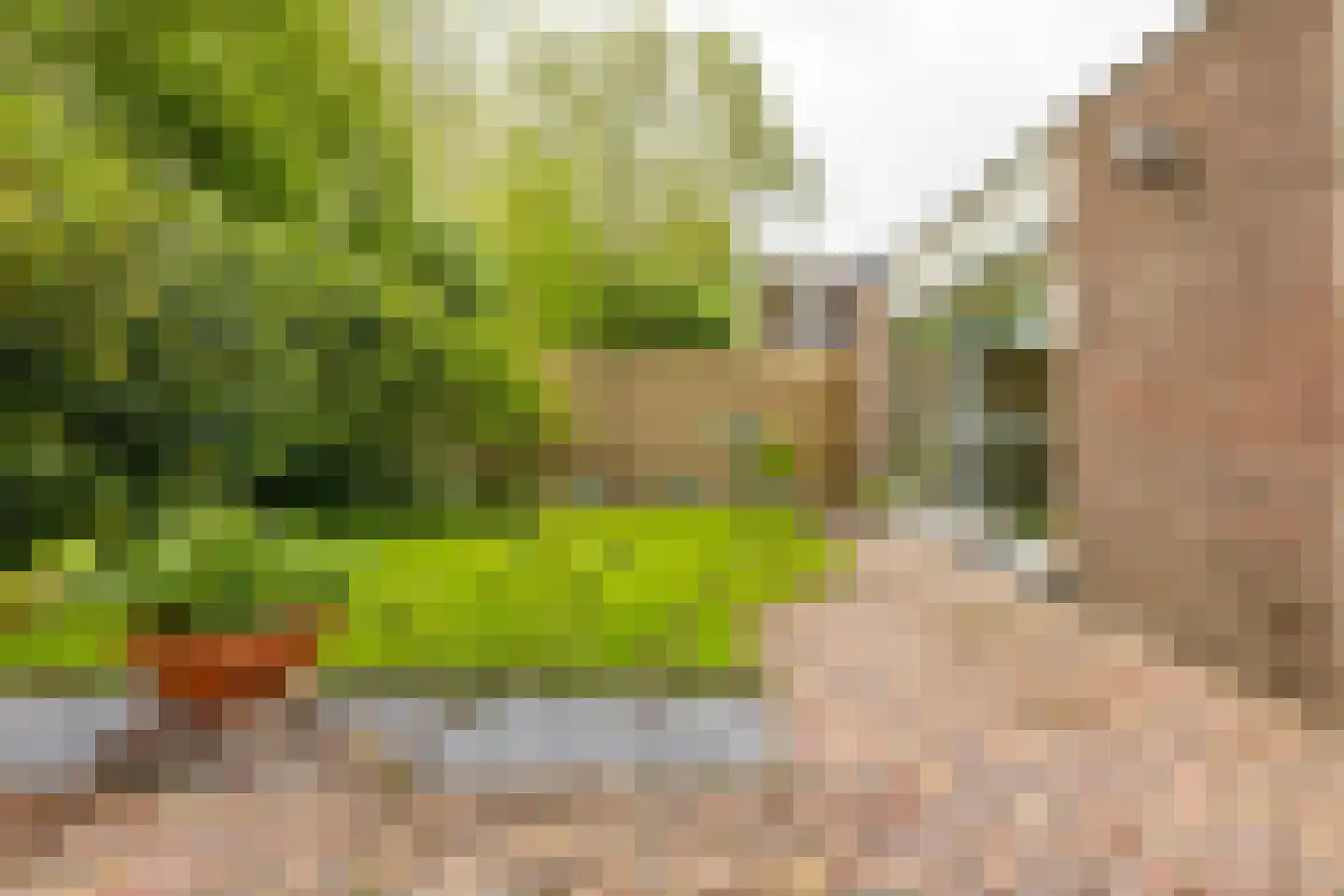 Mudaheerd 98 Groningen thumbnail 25