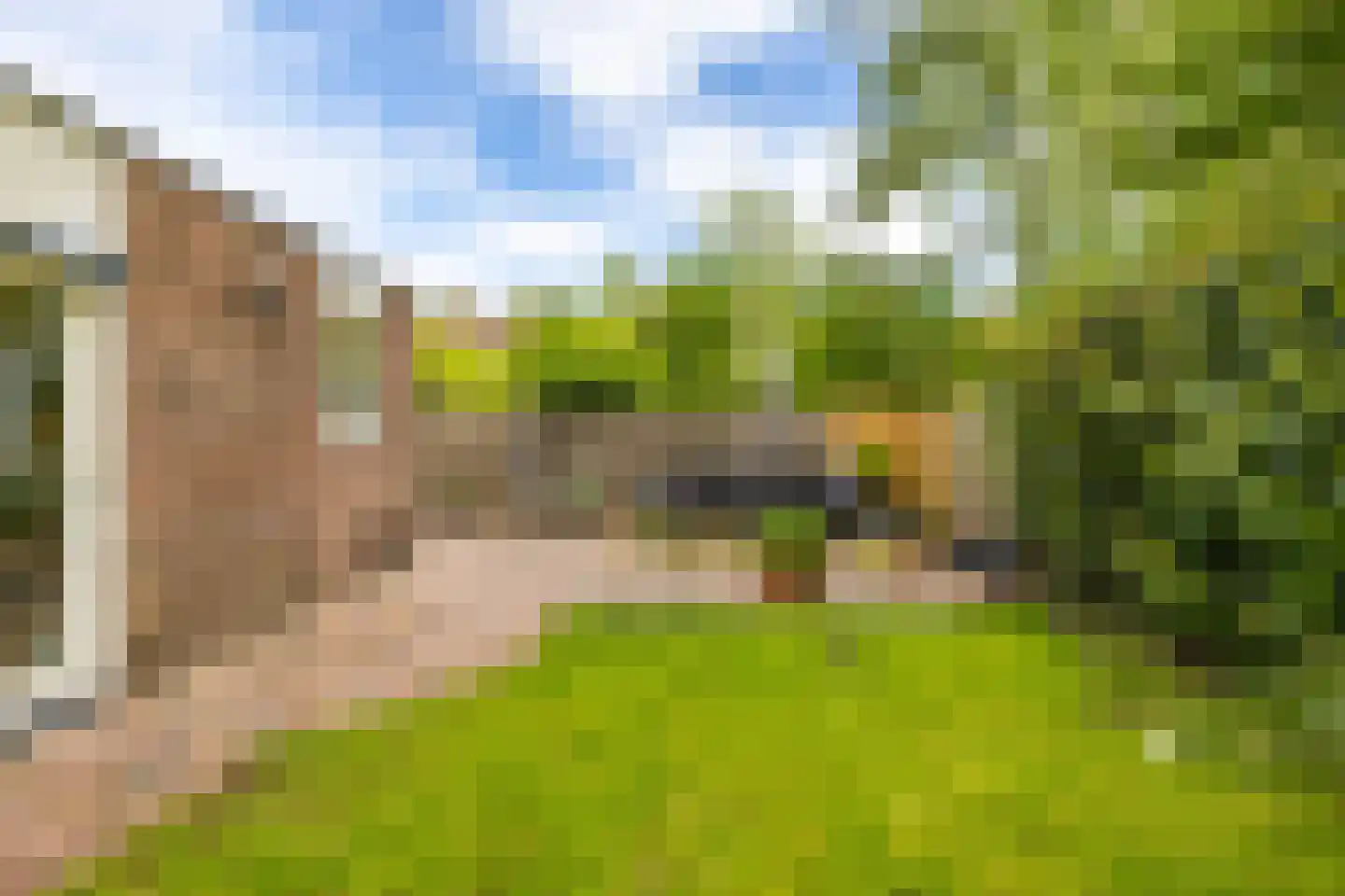 Mudaheerd 98 Groningen thumbnail 26