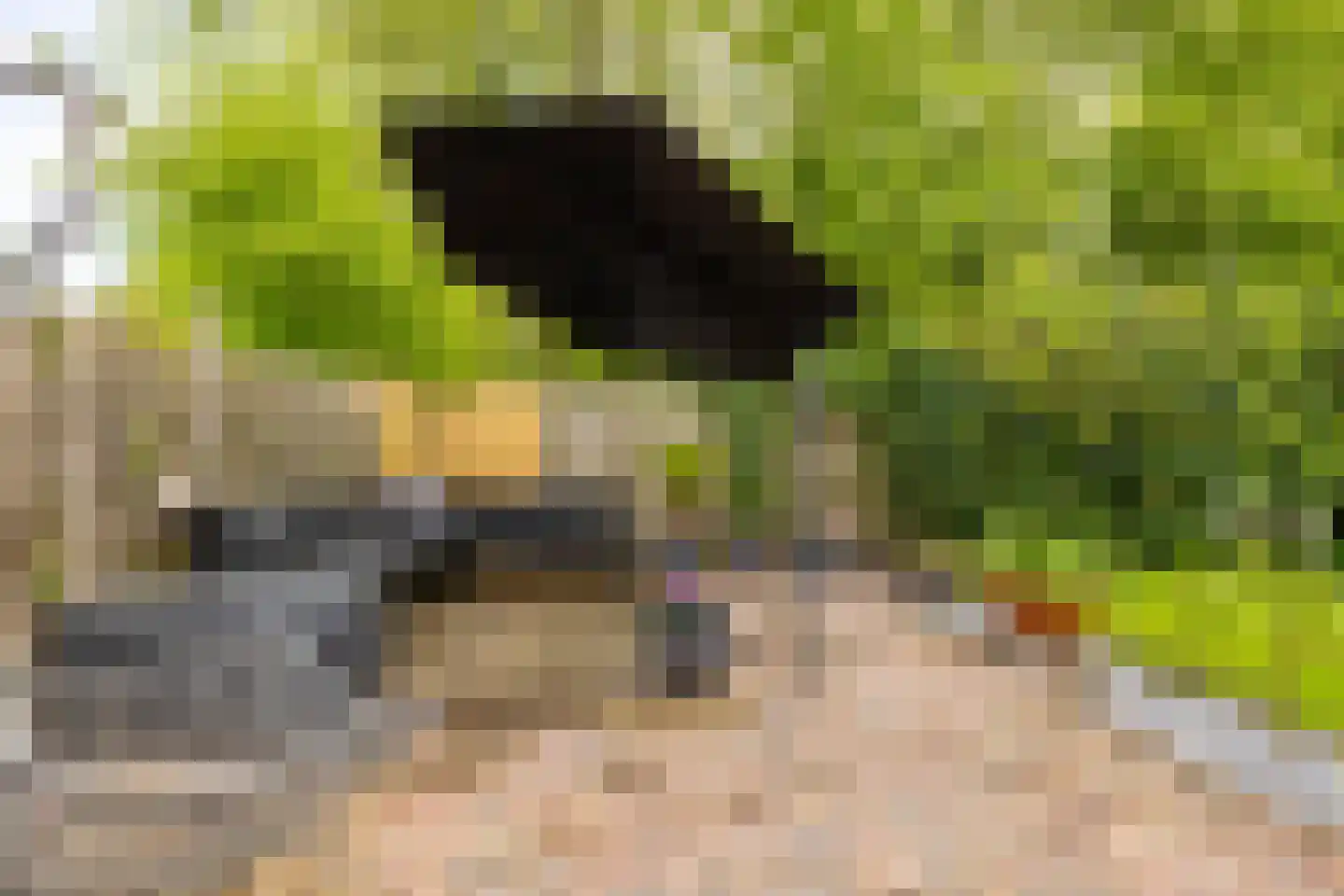 Mudaheerd 98 Groningen thumbnail 27