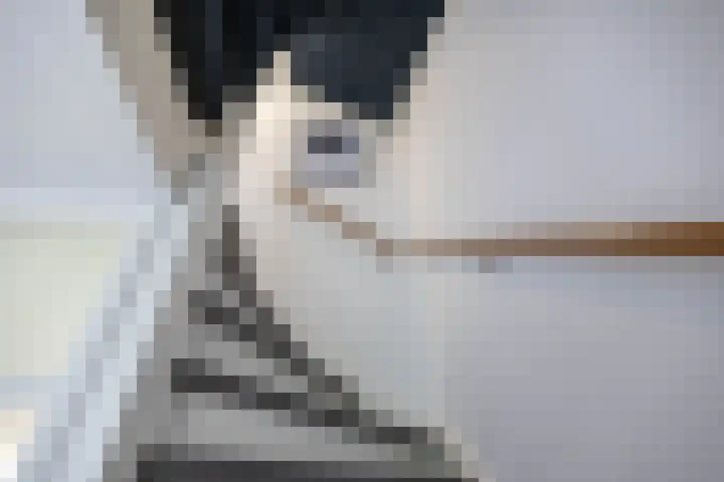 Mudaheerd 98 Groningen thumbnail 28