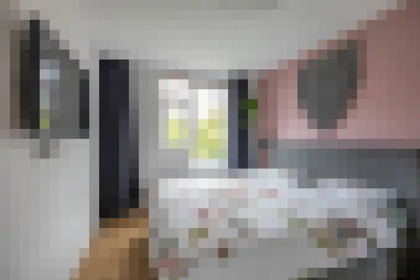 Mudaheerd 98 Groningen thumbnail 33