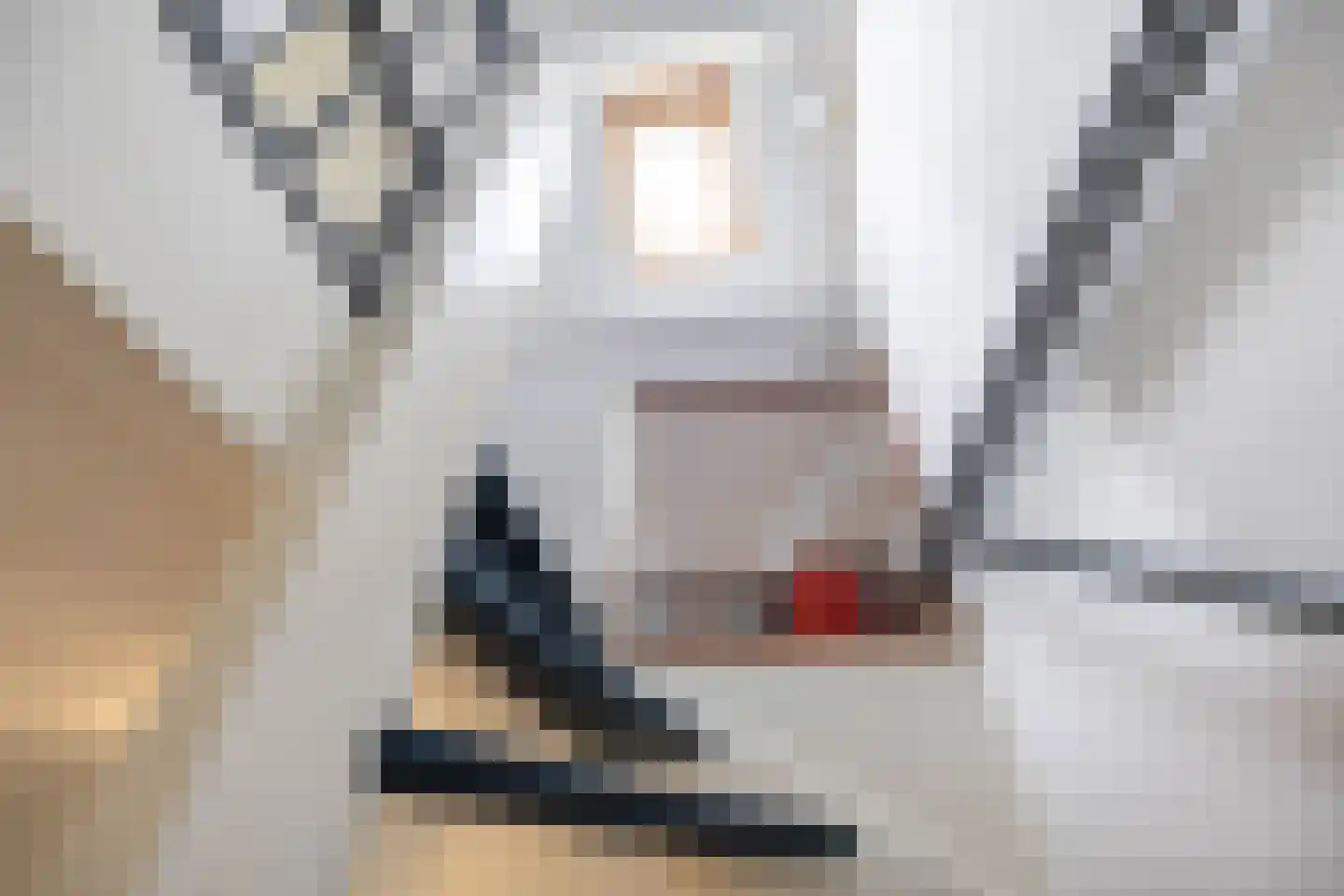 Mudaheerd 98 Groningen thumbnail 38