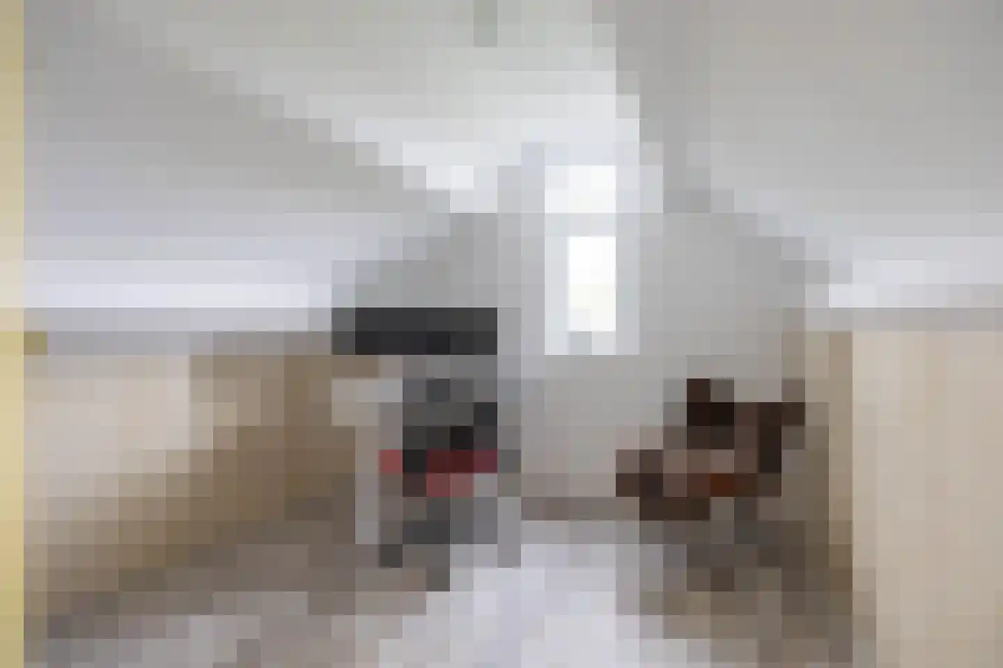 Mudaheerd 98 Groningen thumbnail 40