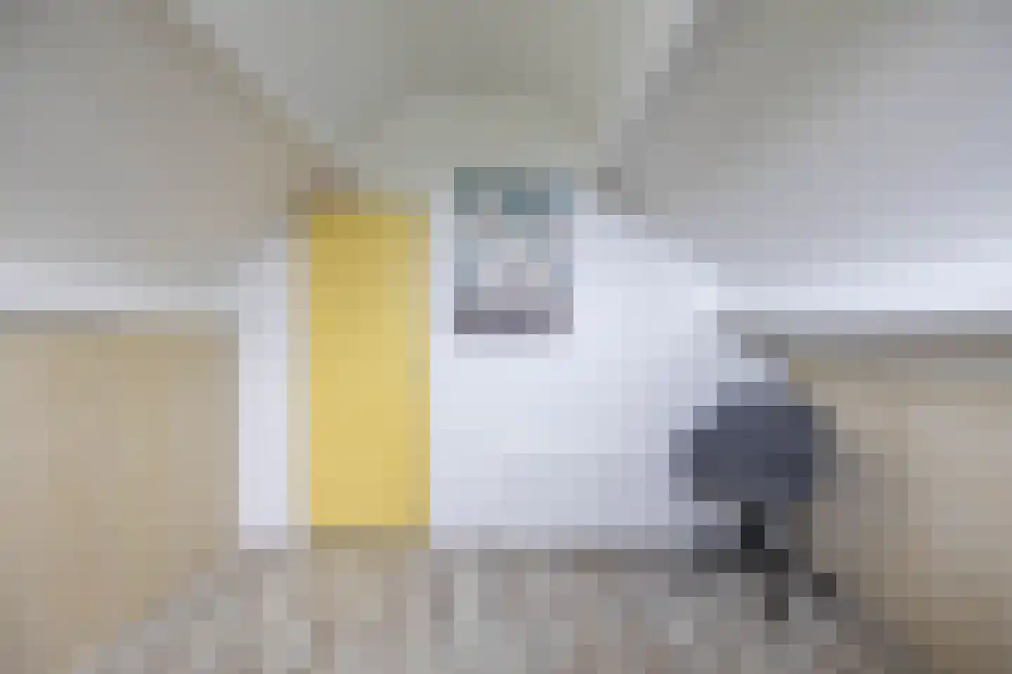 Mudaheerd 98 Groningen thumbnail 41
