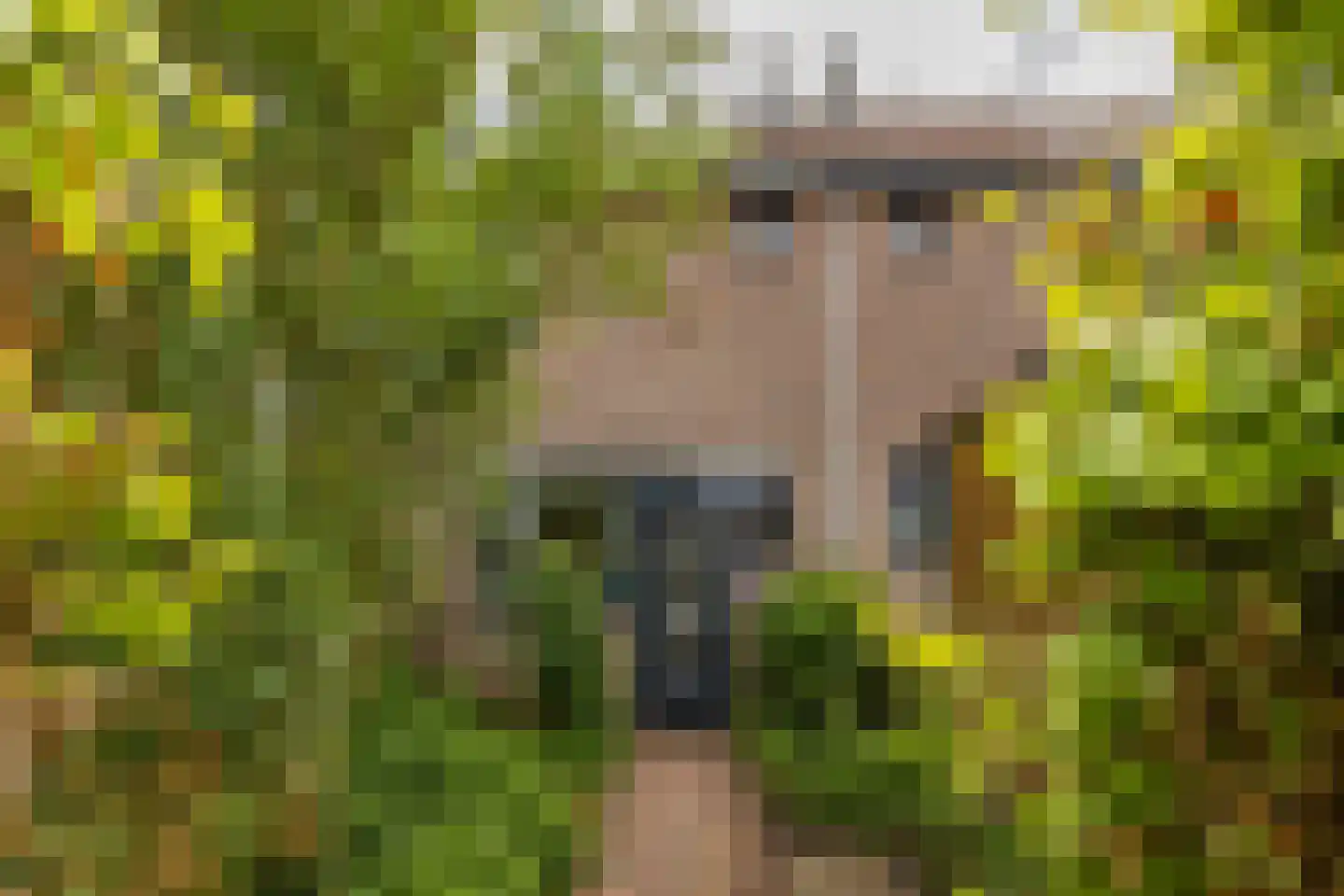Mudaheerd 98 Groningen thumbnail 42