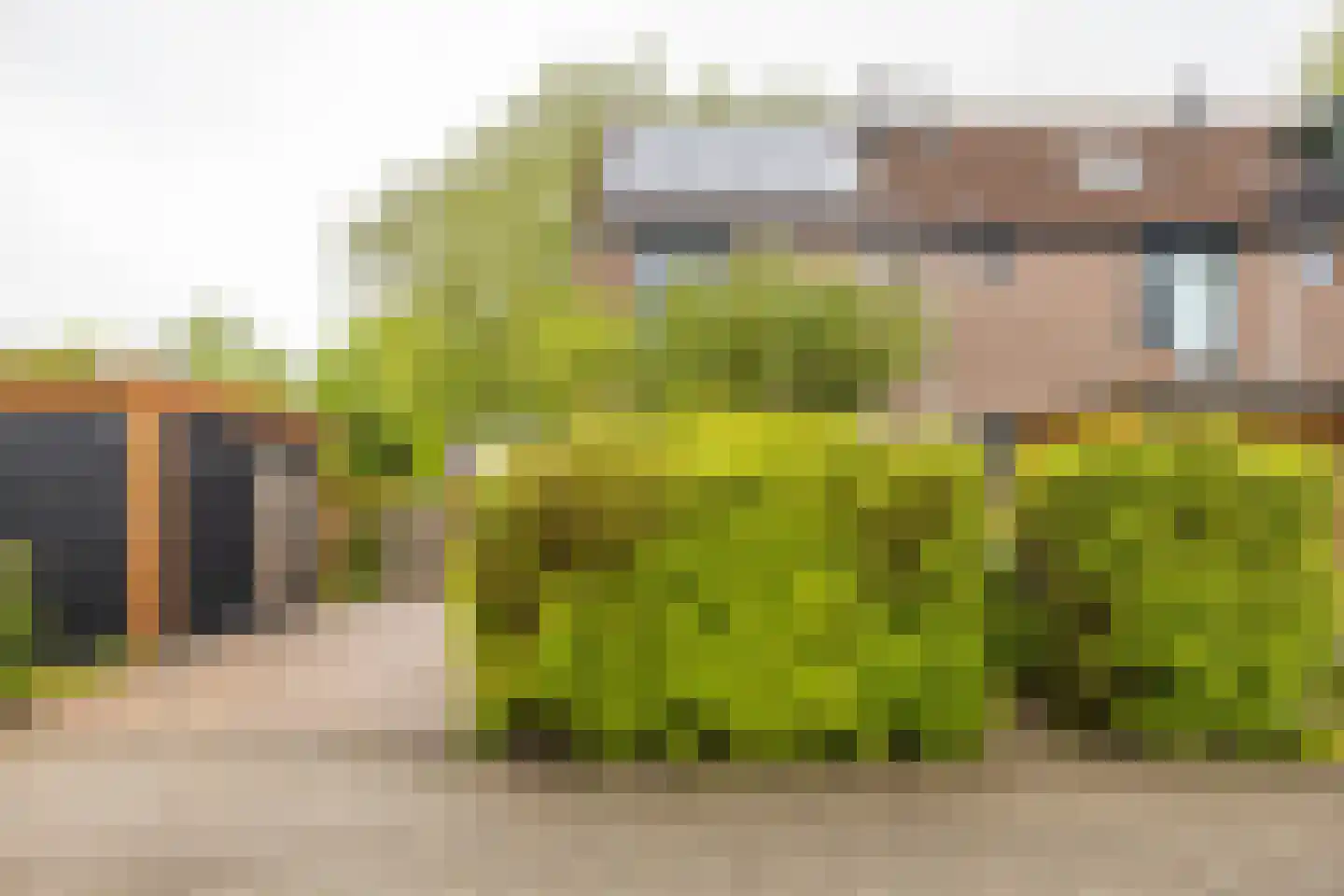Mudaheerd 98 Groningen thumbnail 6