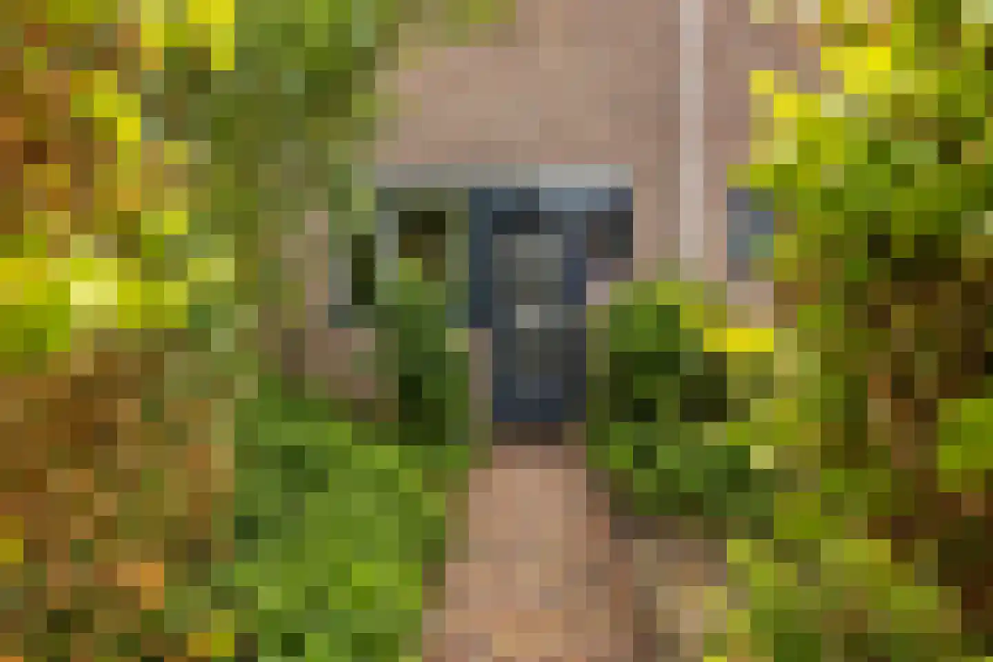 Mudaheerd 98 Groningen thumbnail 7