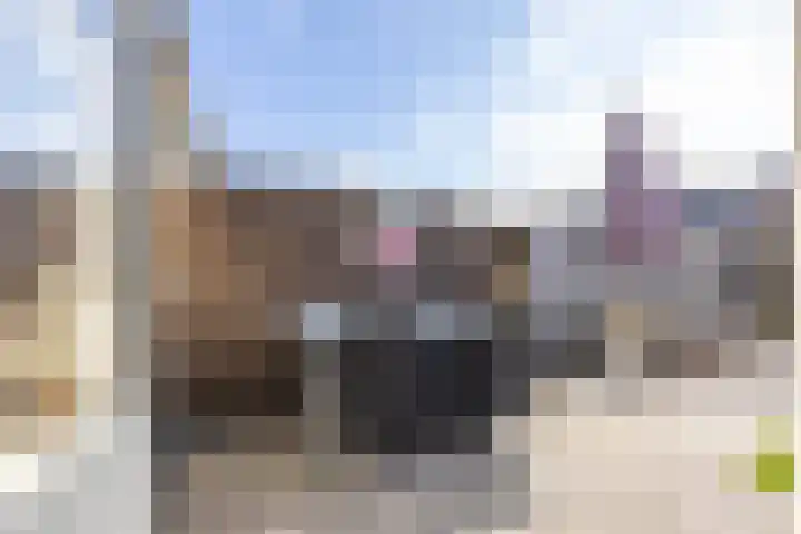 Muddegoorn 34 Assen thumbnail 29