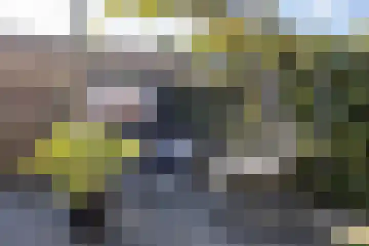 Muddegoorn 34 Assen thumbnail 32