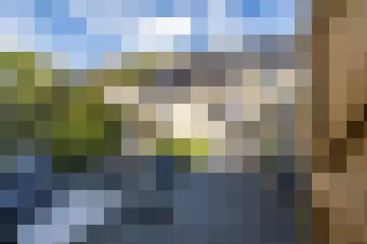 Muddegoorn 34 Assen thumbnail 35