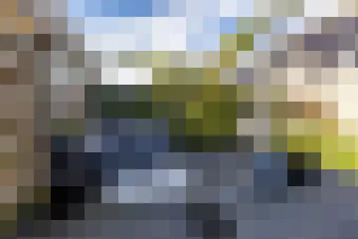 Muddegoorn 34 Assen thumbnail 36