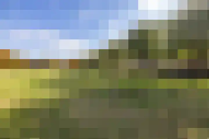 Muddegoorn 34 Assen thumbnail 4