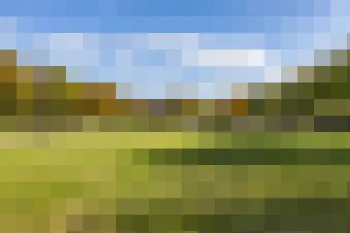 Muddegoorn 34 Assen thumbnail 5
