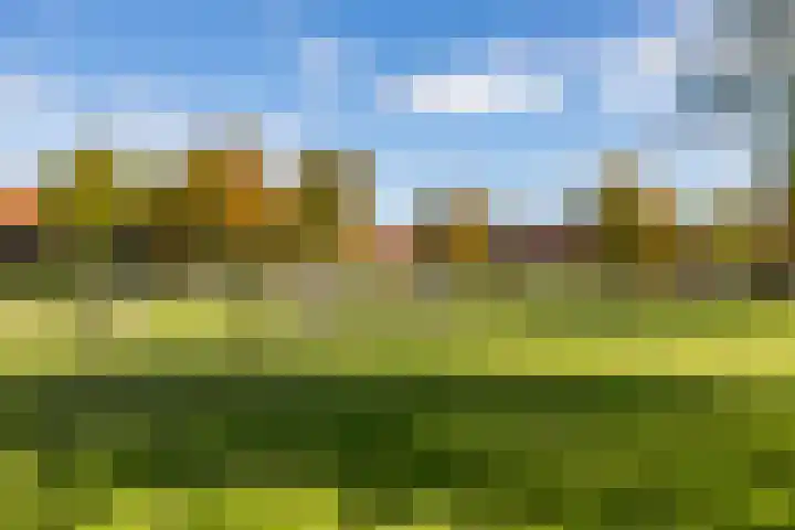 Muddegoorn 34 Assen thumbnail 6
