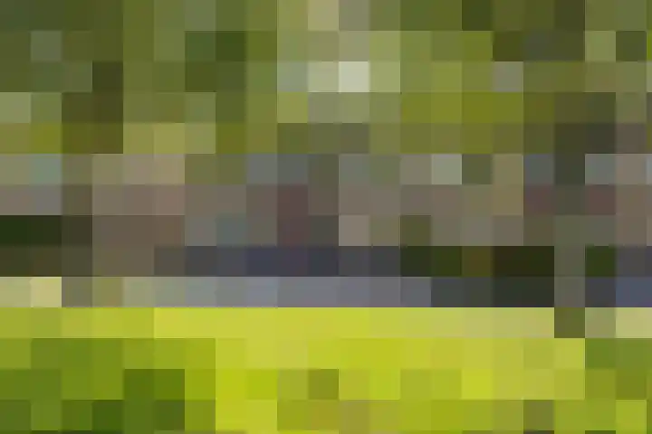 Muddegoorn 34 Assen thumbnail 7