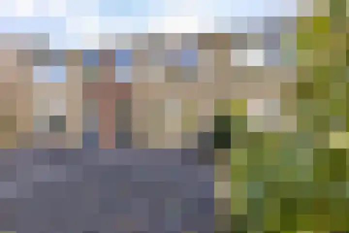 Muddegoorn 34 Assen thumbnail 8