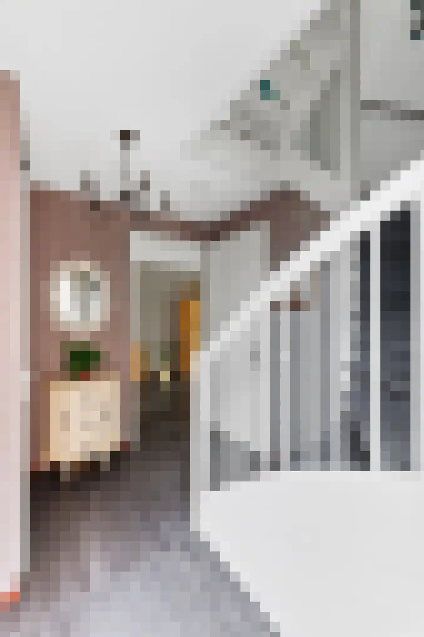Muddy Watersstraat 69 Middelburg thumbnail 9