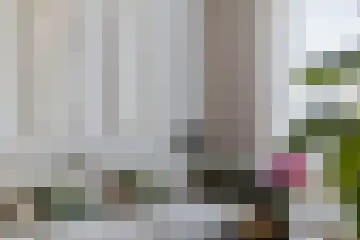 Muezeberg 8 Brunssum thumbnail 14
