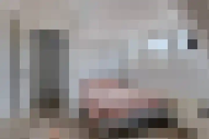 Muezeberg 8 Brunssum thumbnail 39