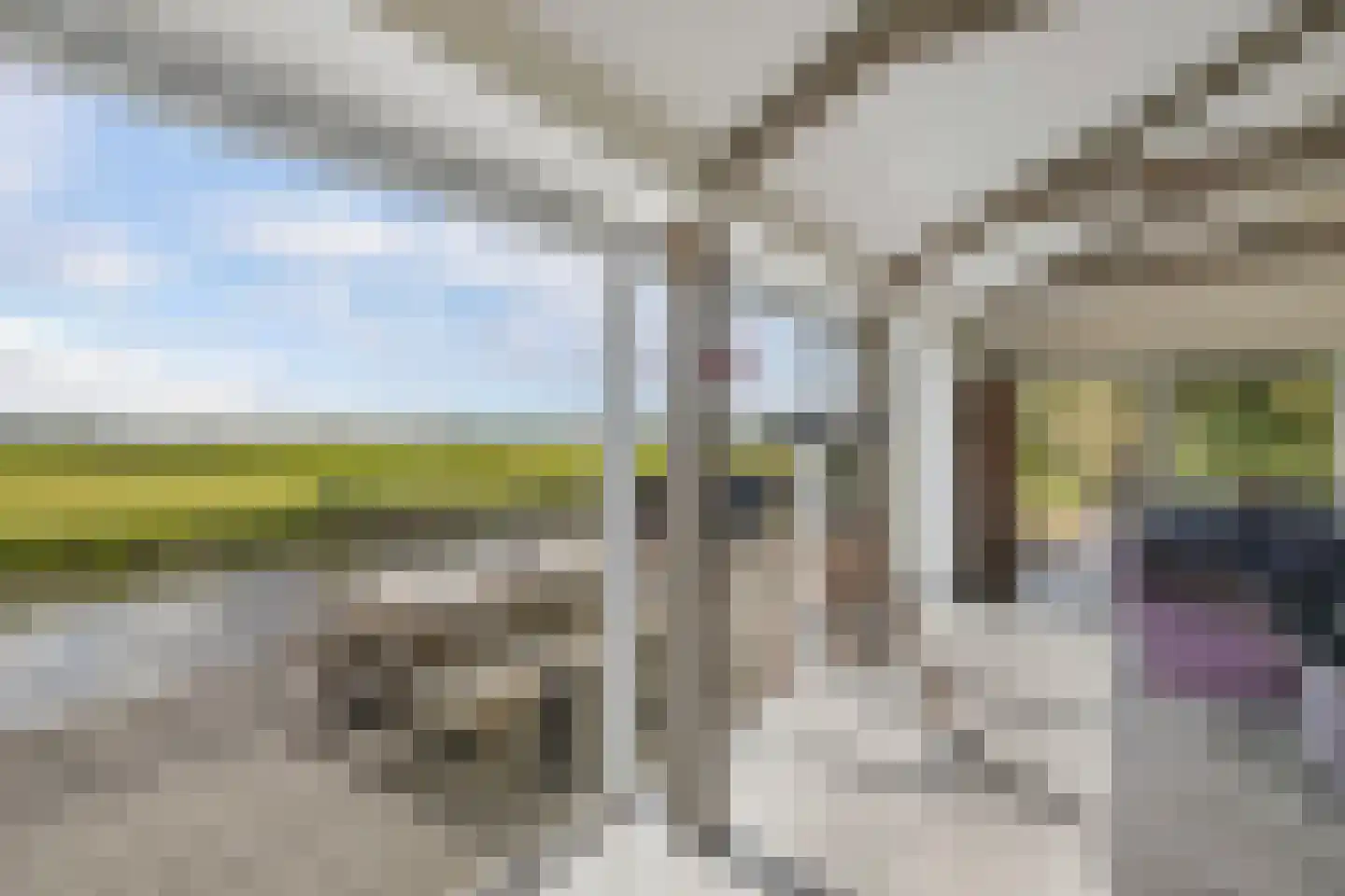 Muggenbeet 6 d Blokzijl thumbnail 11