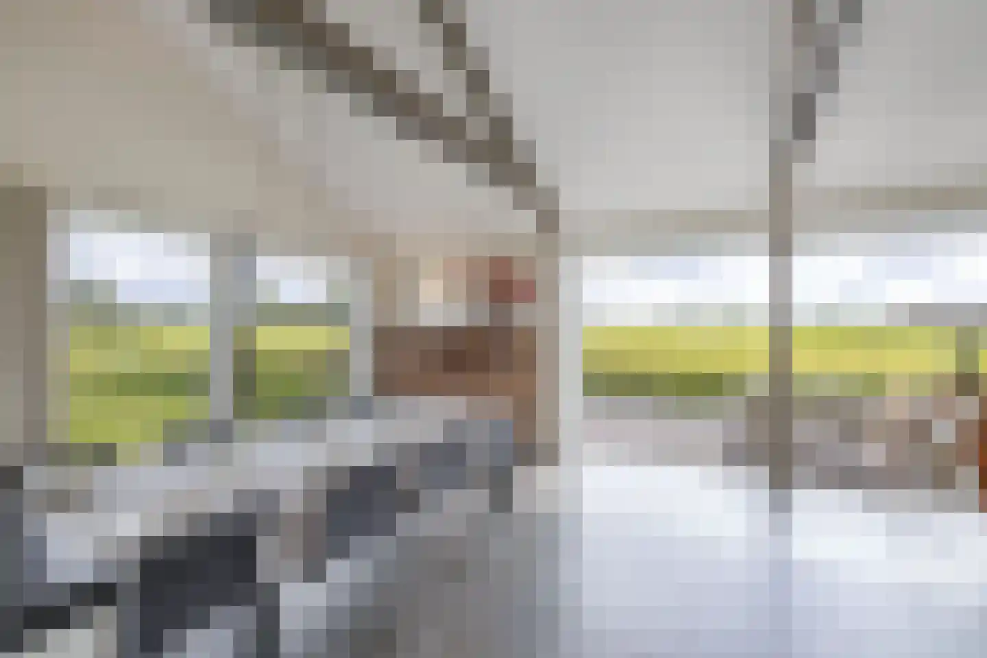 Muggenbeet 6 d Blokzijl thumbnail 12