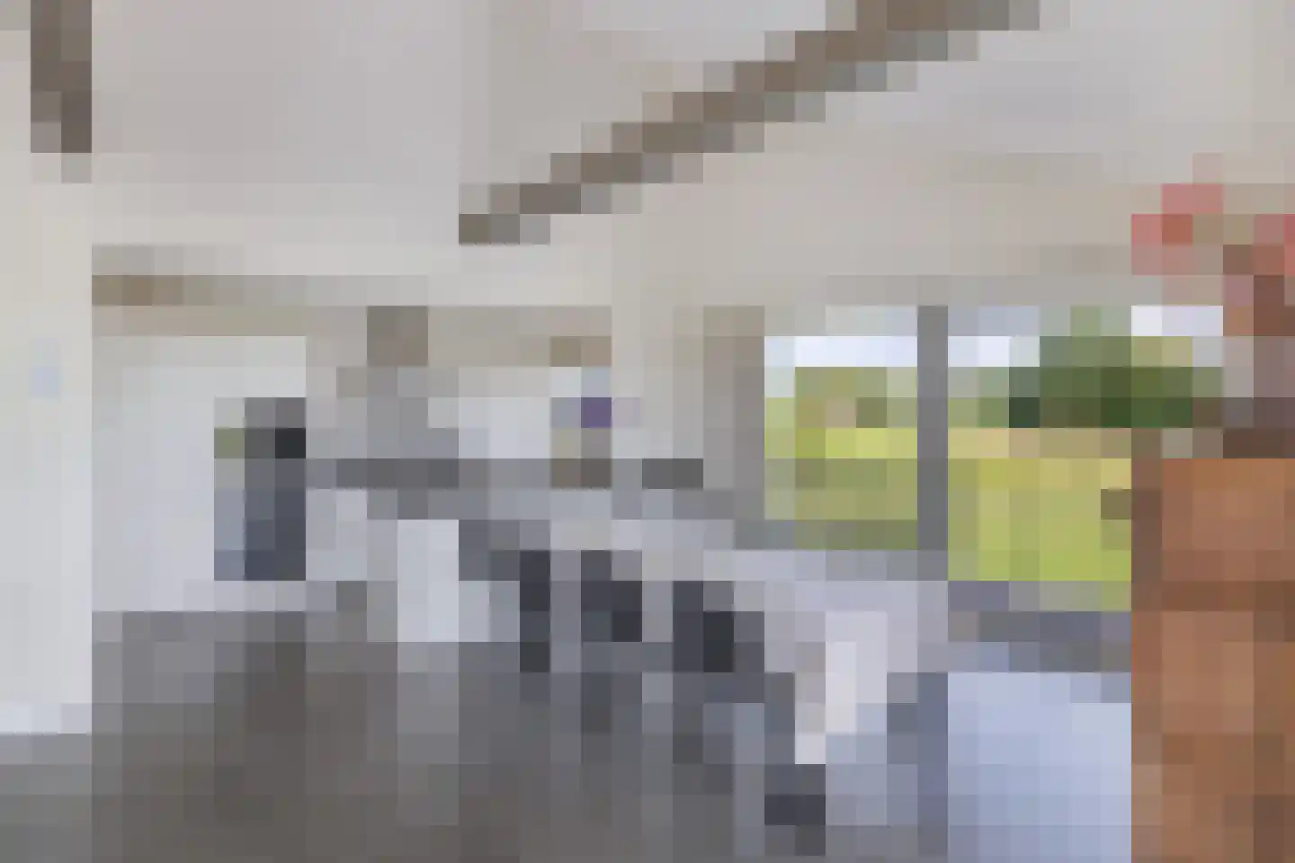 Muggenbeet 6 d Blokzijl thumbnail 13