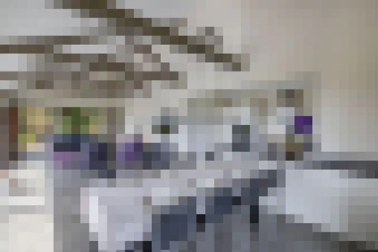 Muggenbeet 6 d Blokzijl thumbnail 14