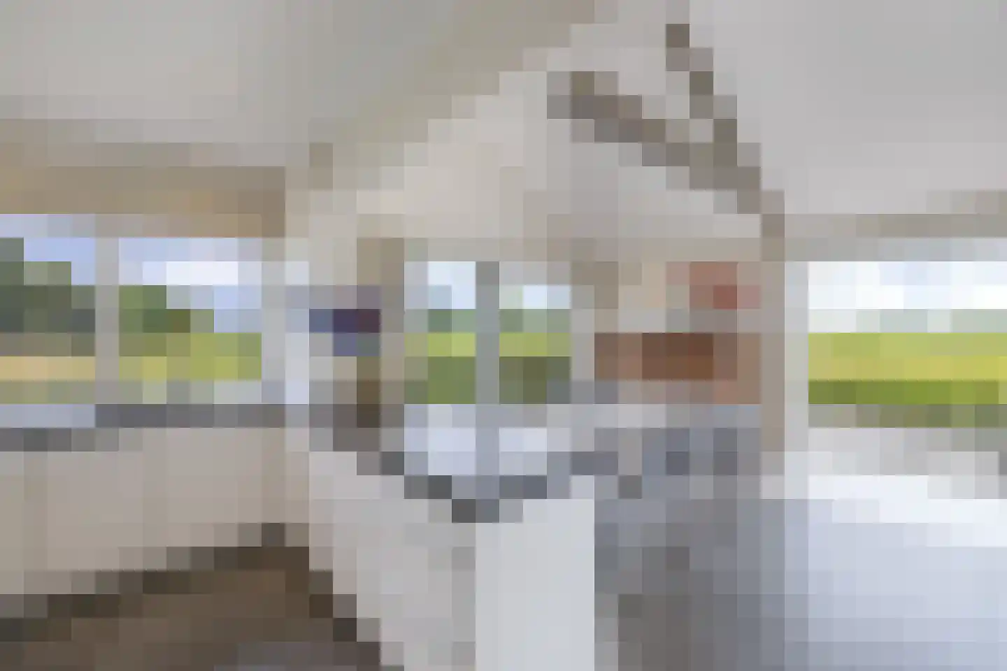Muggenbeet 6 d Blokzijl thumbnail 15