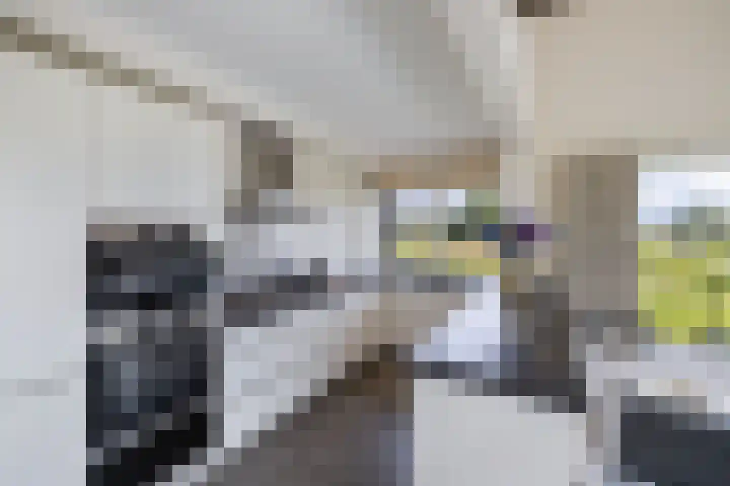 Muggenbeet 6 d Blokzijl thumbnail 16