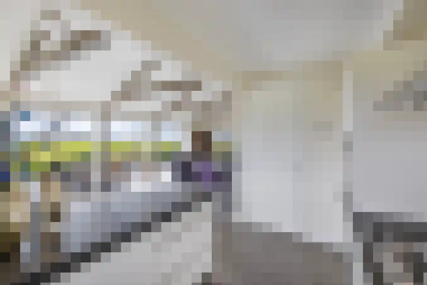 Muggenbeet 6 d Blokzijl thumbnail 19
