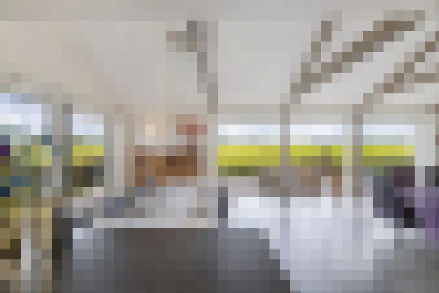 Muggenbeet 6 d Blokzijl thumbnail 20