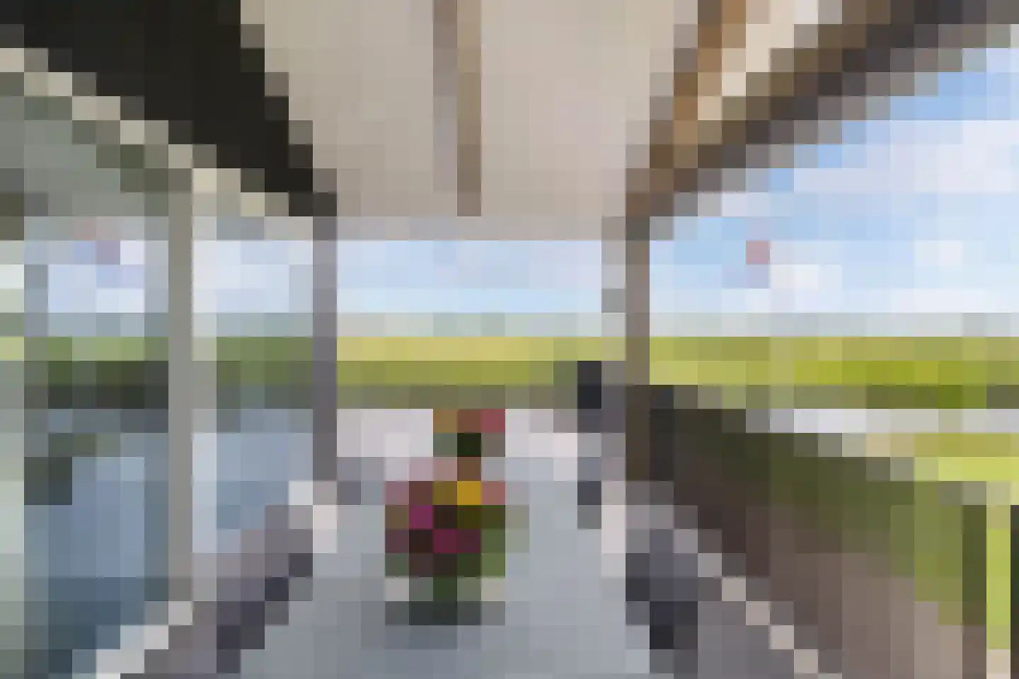 Muggenbeet 6 d Blokzijl thumbnail 22