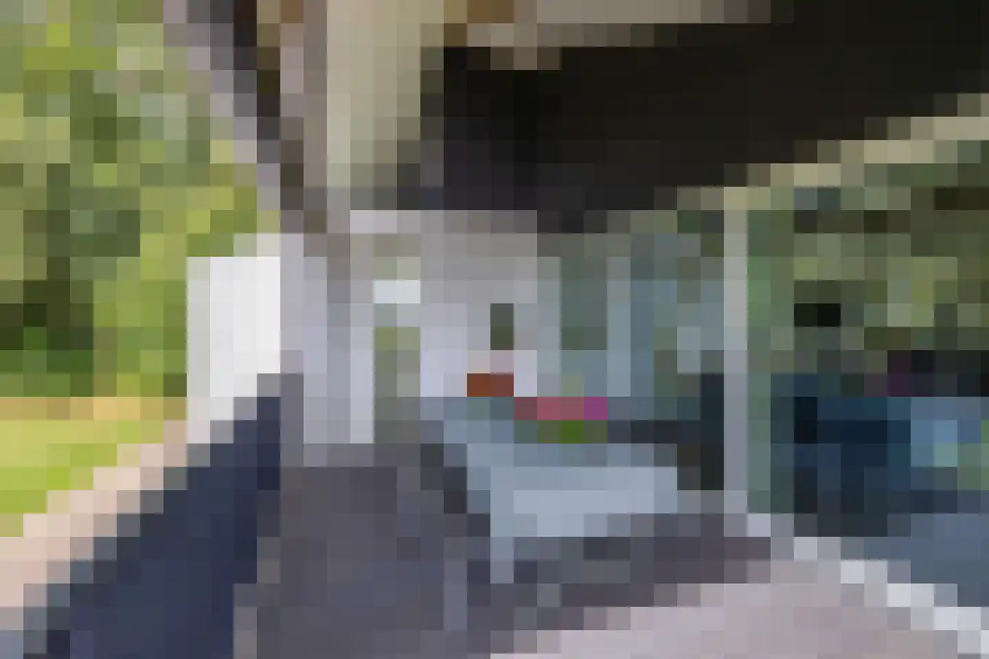 Muggenbeet 6 d Blokzijl thumbnail 23