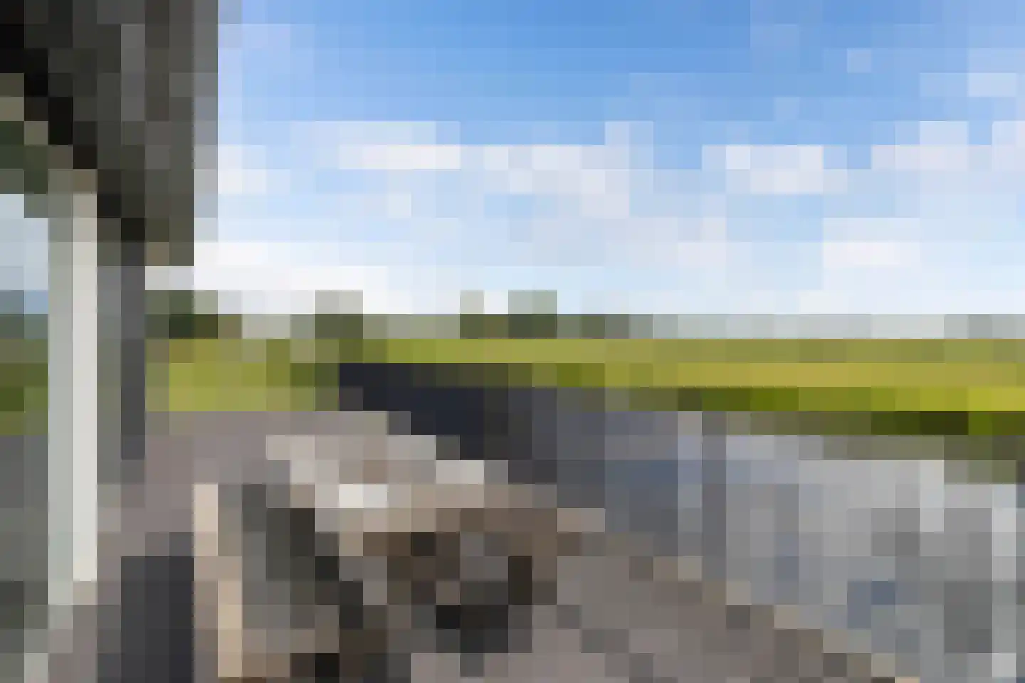 Muggenbeet 6 d Blokzijl thumbnail 26